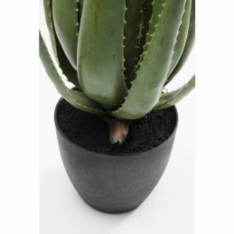 KARE roślina dekoracyjna ALOE 69 cm Kare design - 3