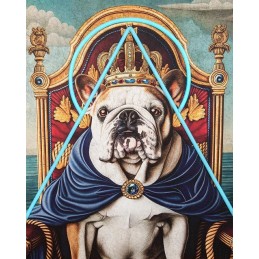 Obraz NEON BULLDOG 80x100 cm King home - 5